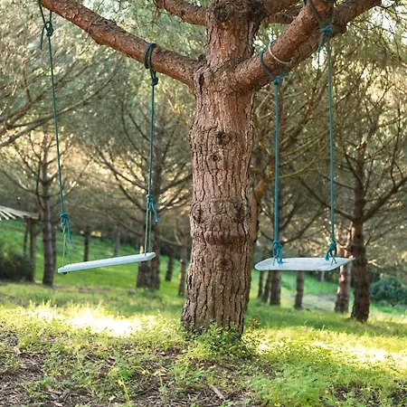 Quinta Raposeiros Santo Isidoro