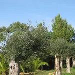 Quinta Raposeiros - Ocean View Ericeira Santo Isidoro