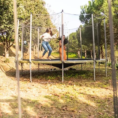 Quinta Raposeiros * Santo Isidoro
