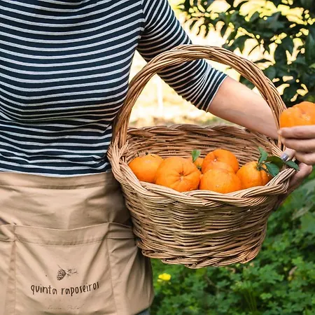 Apartamento Quinta Raposeiros Santo Isidoro