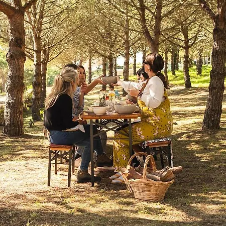 Quinta Raposeiros