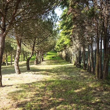 Quinta Raposeiros Apartman