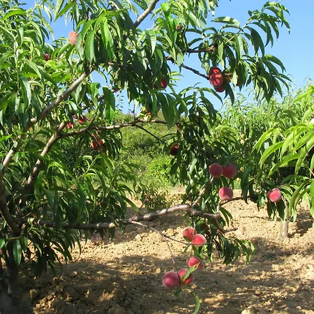 Apartamento Quinta Raposeiros Santo Isidoro