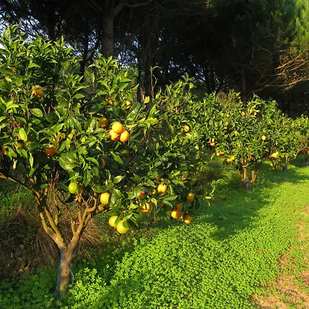 Quinta Raposeiros Apartamento