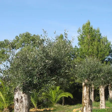 Quinta Raposeiros Santo Isidoro