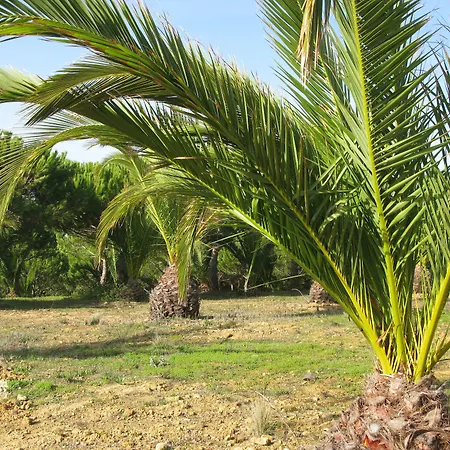 Apartamento Quinta Raposeiros