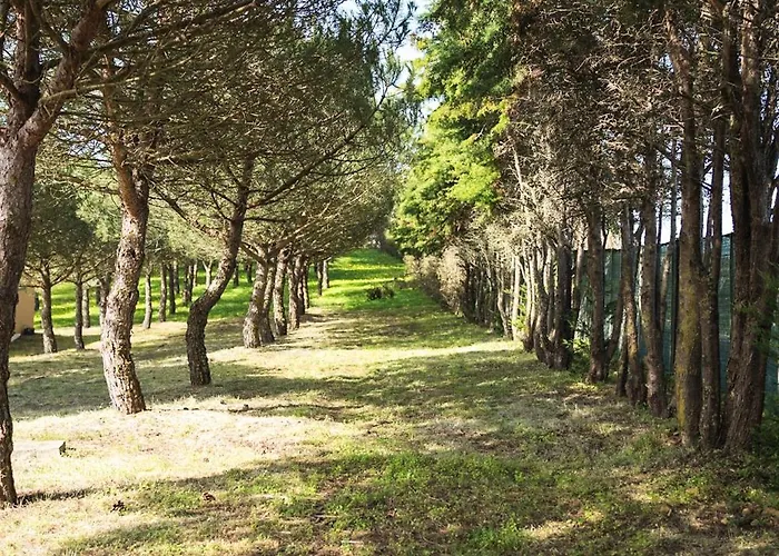 Quinta Raposeiros - Ocean View Ericeira アパート