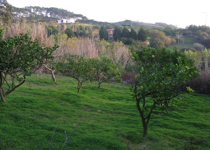 Quinta Raposeiros - Ocean View Ericeira アパート *